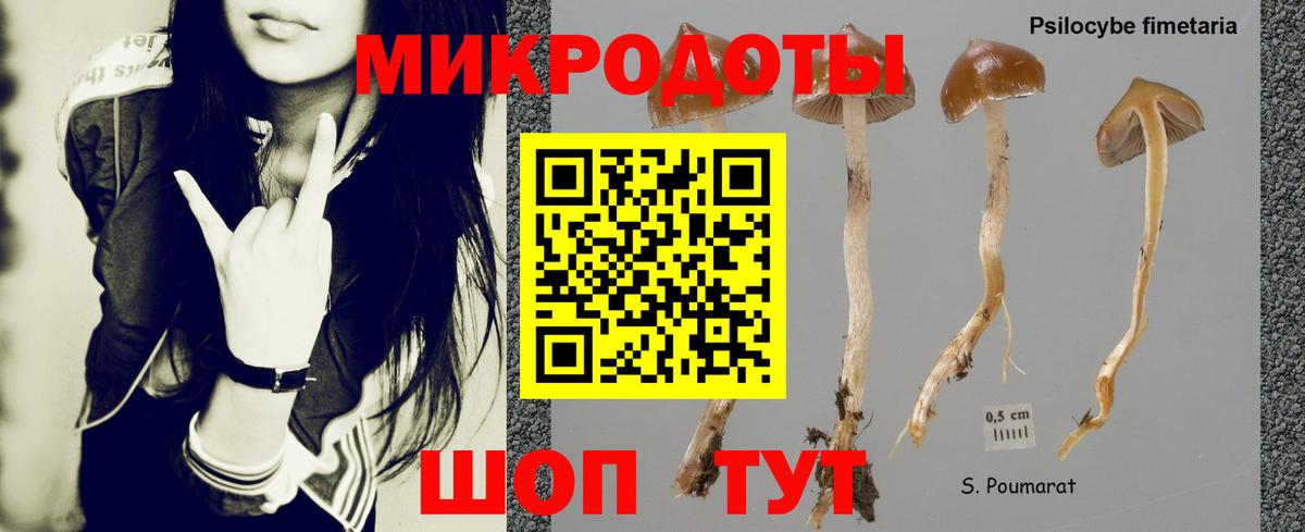 Галлюциногенные грибы ЛСД Ипатово
